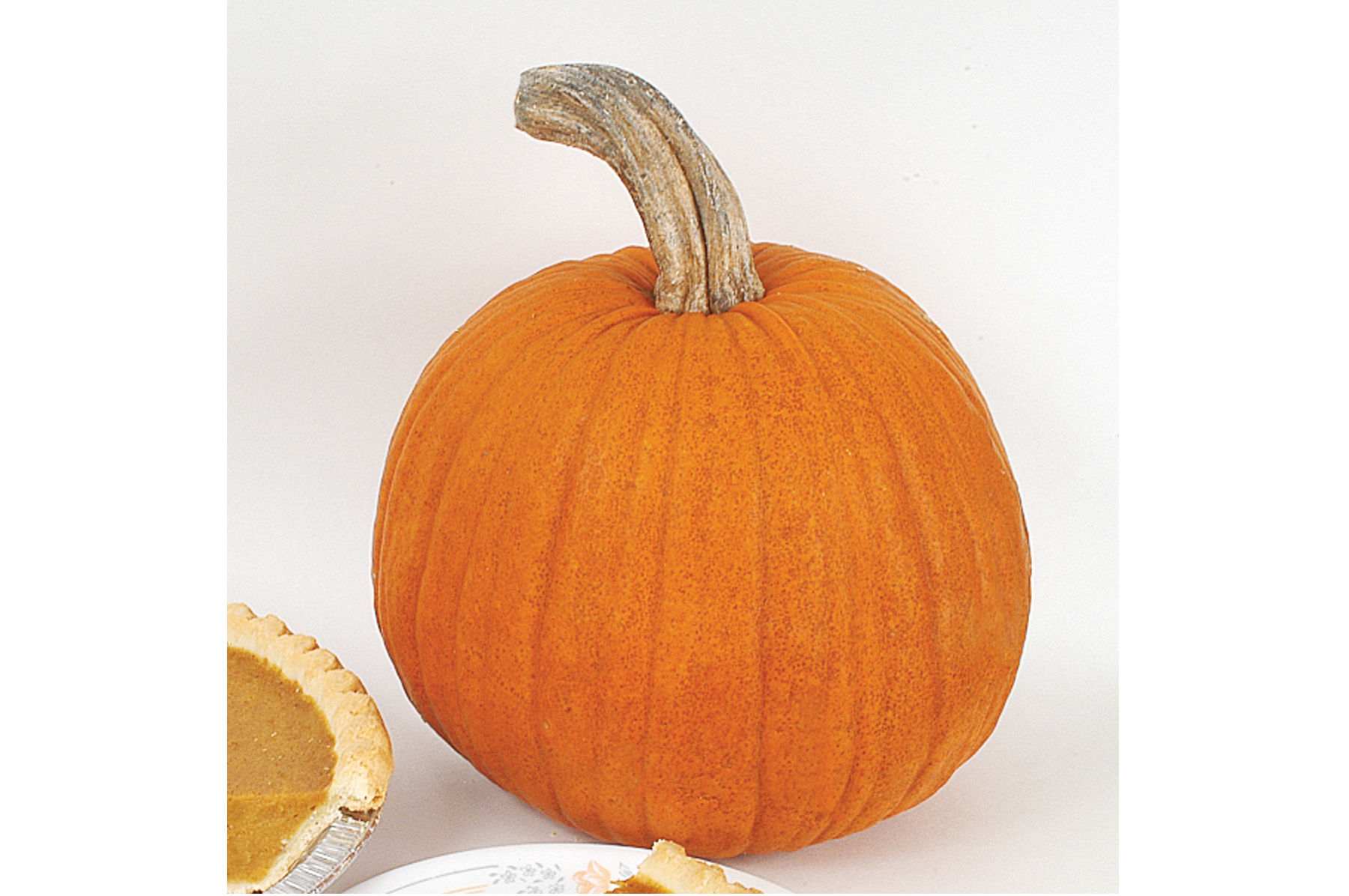 New England Pie Pumpkin