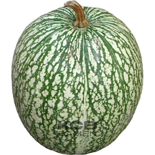 Siam Squash