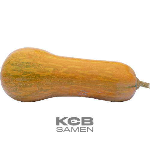 Orange Butternut Sonca 