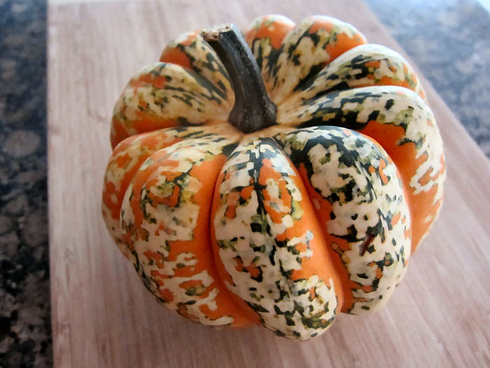 Carnival Squash