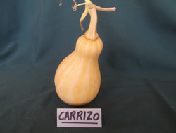 carrizo -  Mexico