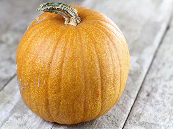 New England Pie Pumpkin