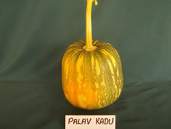 02-palavt.jpg