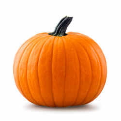 02-pumpkint.jpg