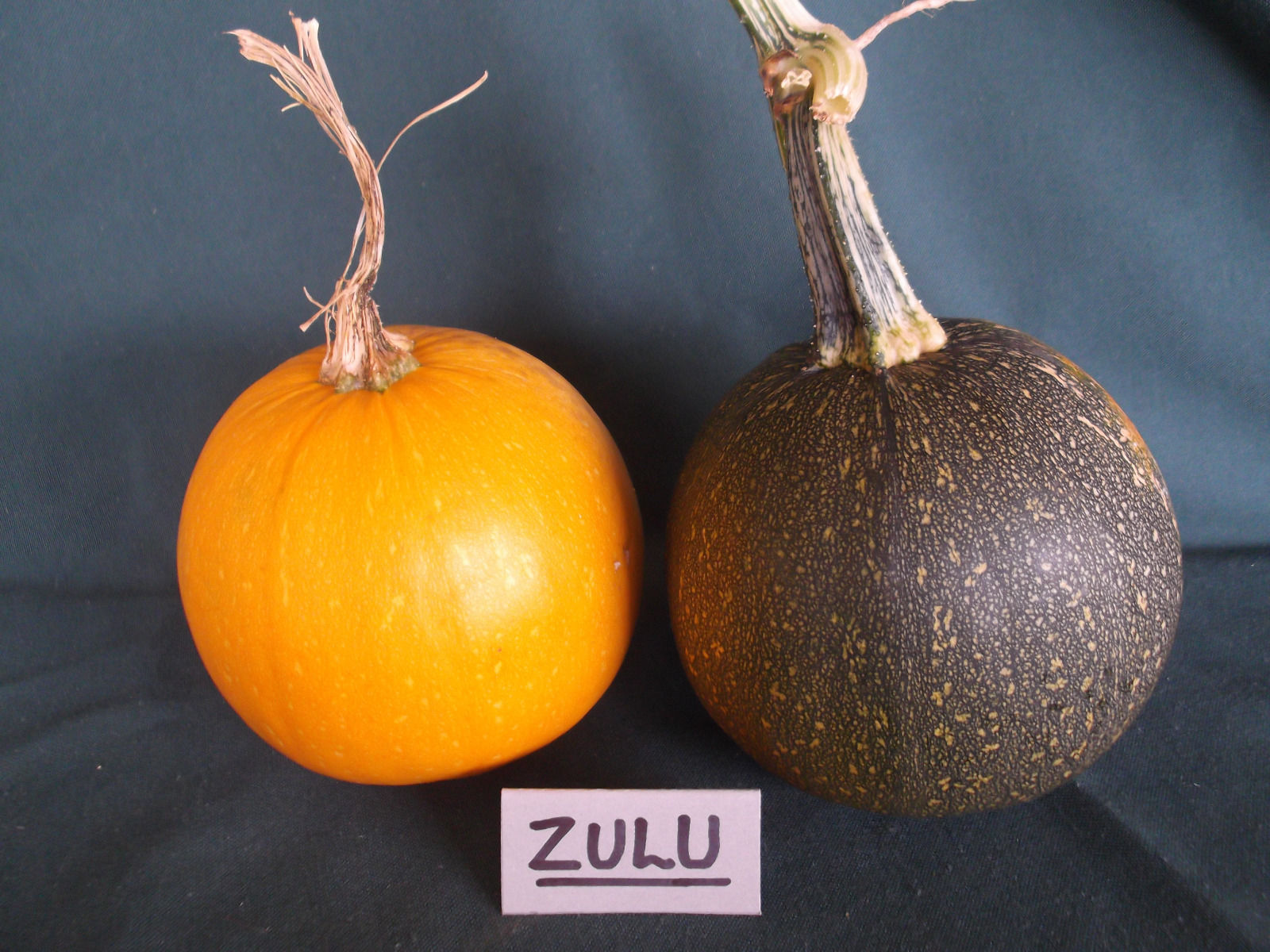 Zulu