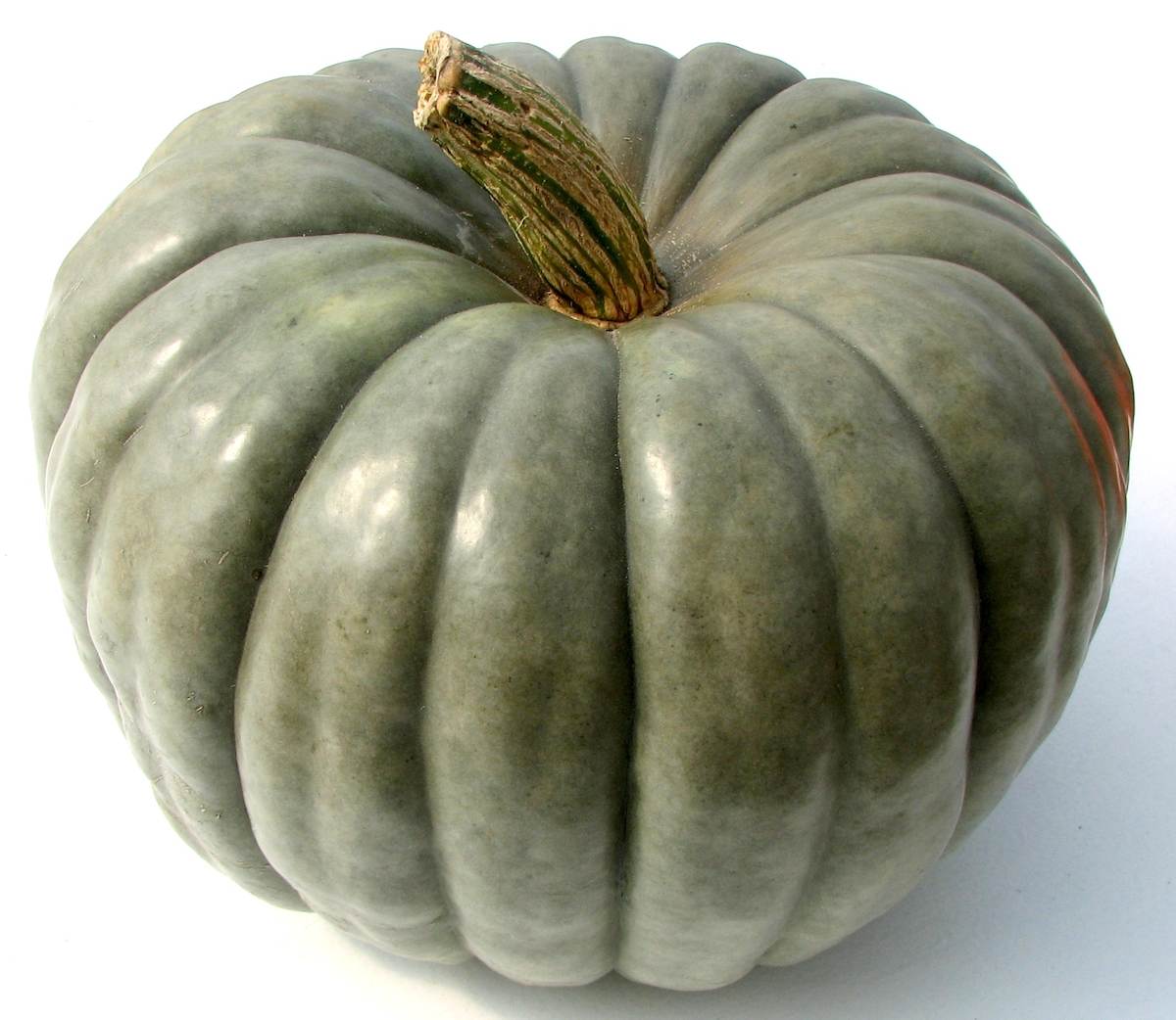 Jarrahdale Pumpkin