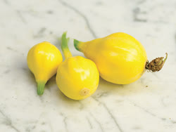 lemon - Lemon squash pepo