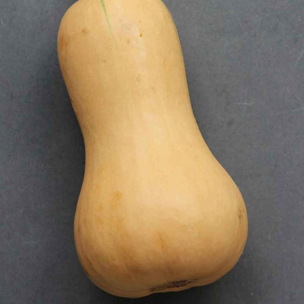 Butternut Squash