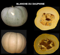 06-Dauphinet.jpg