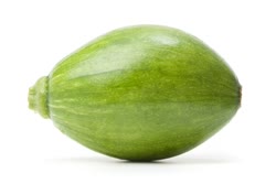 avocado - Avocado squash pepo