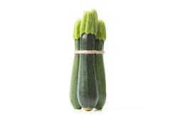 green - Green Zucchini pepo