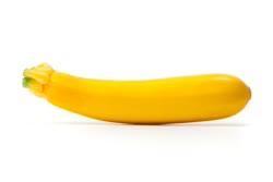 yellow - Yellow Zucchini pepo