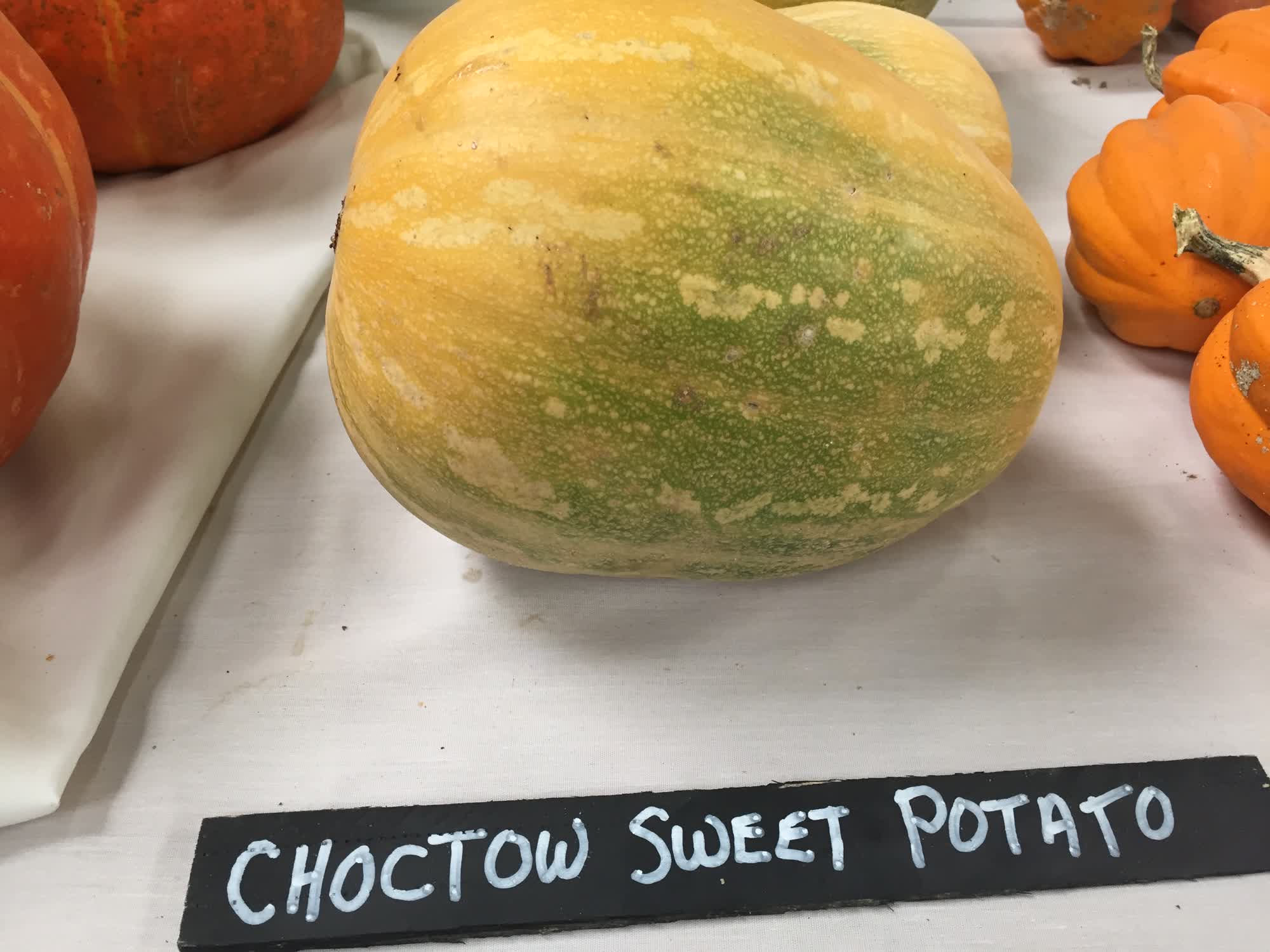 Choctaw Sweet Potato