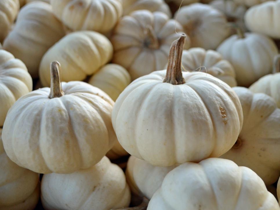 EXTRA RARE White Pumpkin ''Casper'' ~20 Top Quality Seeds Squash Sweet 
