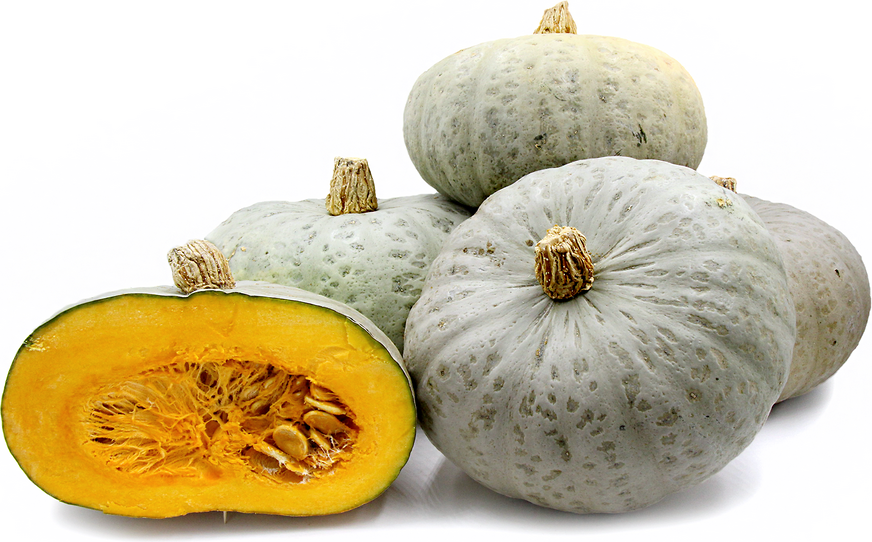 Confection Squash