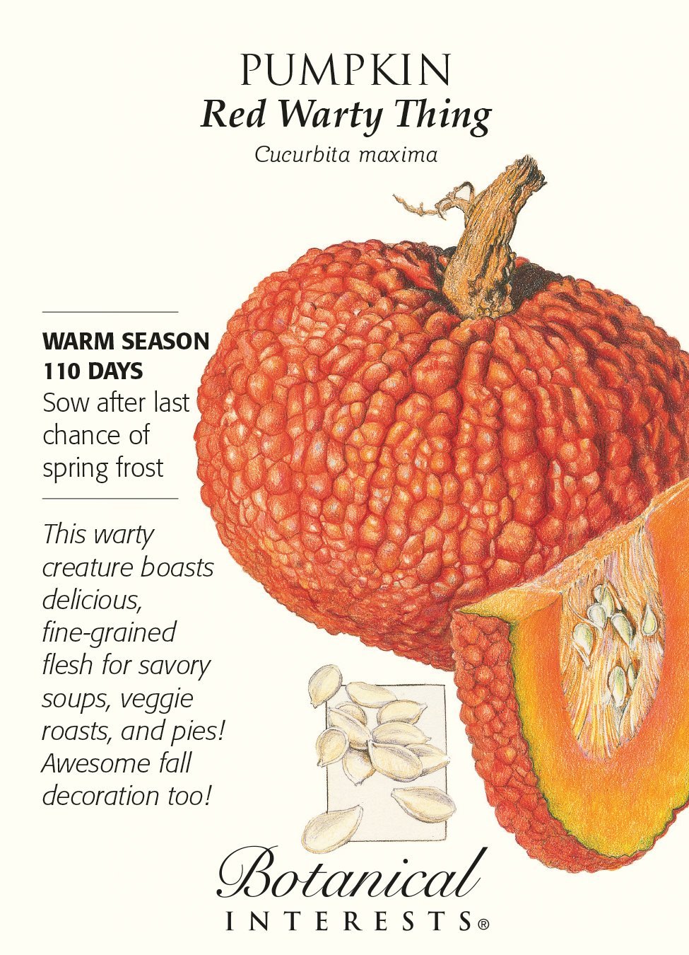 Red Warty Pumpkin