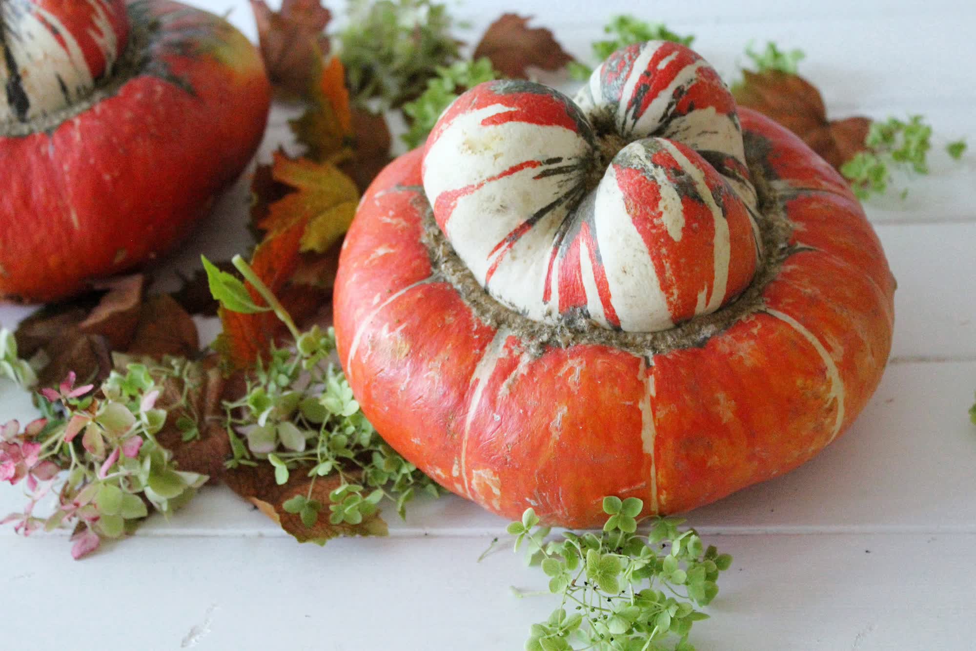 Turban Squash