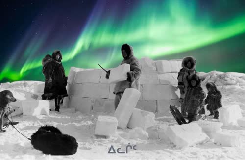 Inuit Knowledge Database