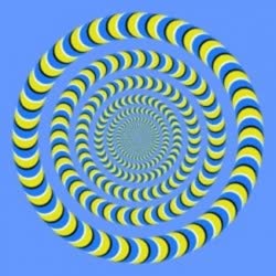 02-optical_illusionst.jpg