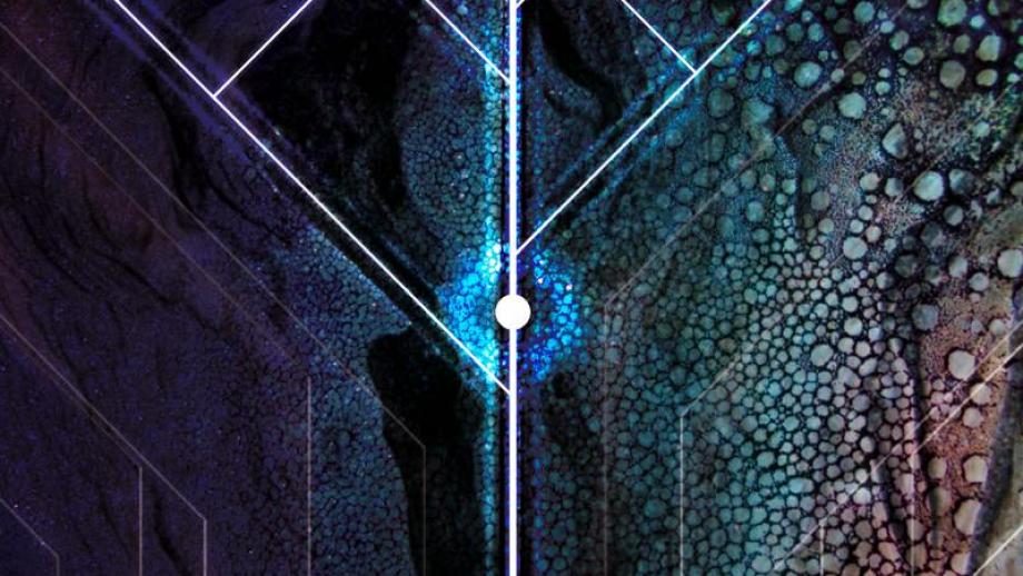 outdoor nighttime stroll