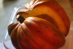 nov -  Ontario acorn squash