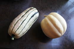 aug -  Delicata and Swan White acorn squash.