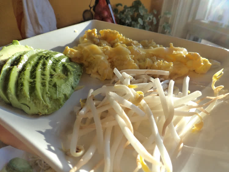 scrambled eggs with thin slices of edam-like cheese on top. Beansprouts, and sliced avocado.