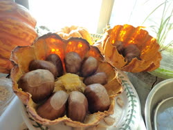 jan -  Chestnuts