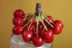 jun -  Cherries