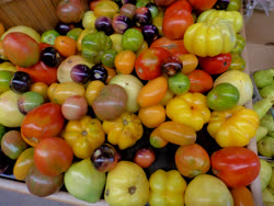 tomatoes - Heirloom tomatoes at Sweet Potato Sept 2018