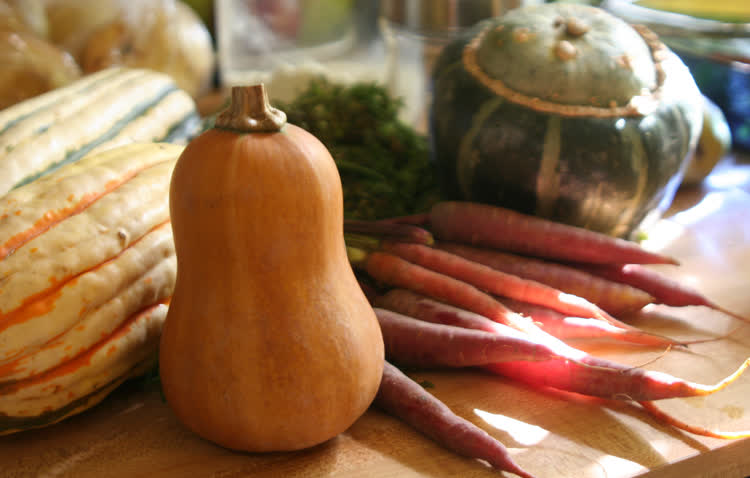 Organic squash and heirloom carrots