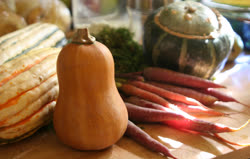 sep -  Organic squash and heirloom carrots