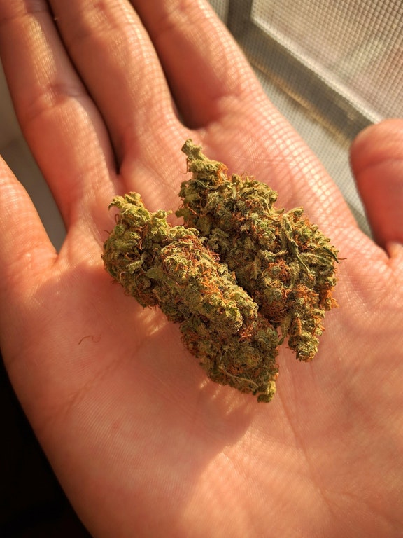 taleoftwostrains | 160 on sale. 19 o in stock 08/28/17