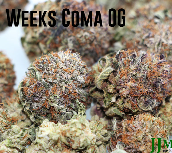 11_Weeks_Coma_OG