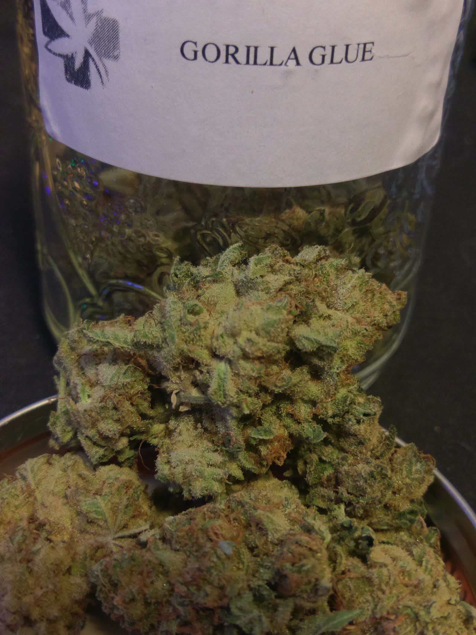  BCMedichronic's $125/o GG4