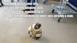 01-ikea_monkeyt.jpg