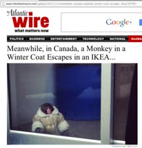 06-ikea_monkeyt.jpg
