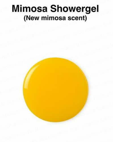 Mimosa
