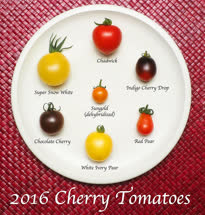20-tomatoest.jpg