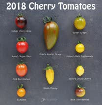 22-tomatoest.jpg