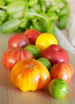 24-tomatoest.jpg