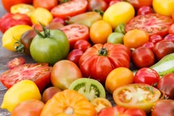 25-tomatoest.jpg