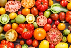 26-tomatoest.jpg