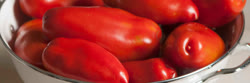 32-tomatoest.jpg
