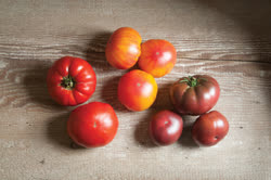 34-tomatoest.jpg