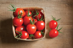 38-tomatoest.jpg