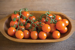 39-tomatoest.jpg
