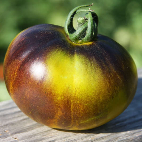 tomato black vernissage maturity