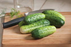 01-cucumbert.jpg