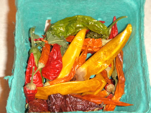 dried peppers in the fridge